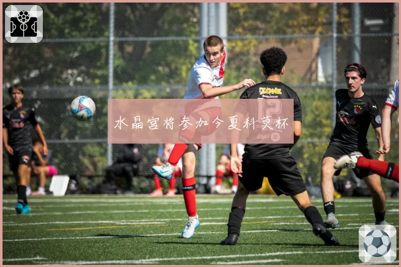 水晶宫将参加今夏科莫杯